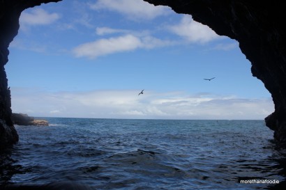 birds flying by cave napali coast kauai hawaii